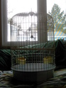 cages  oiseaux  vendre! Dsci0312