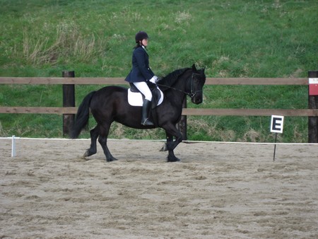 Olie du Sinter en concours Fevrie14