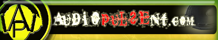 Audio Pulse Entertainment
