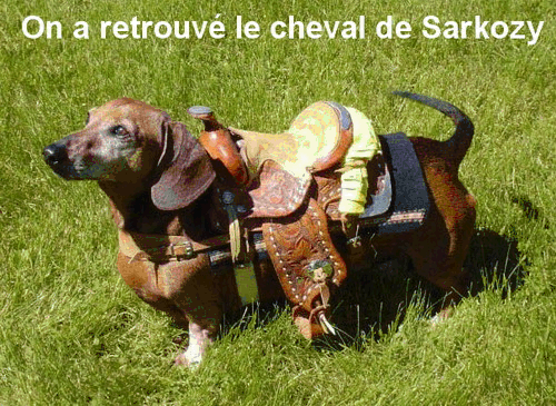 ON A RETROUVER LE CHEVAL DE SARKO!!! Sarko10