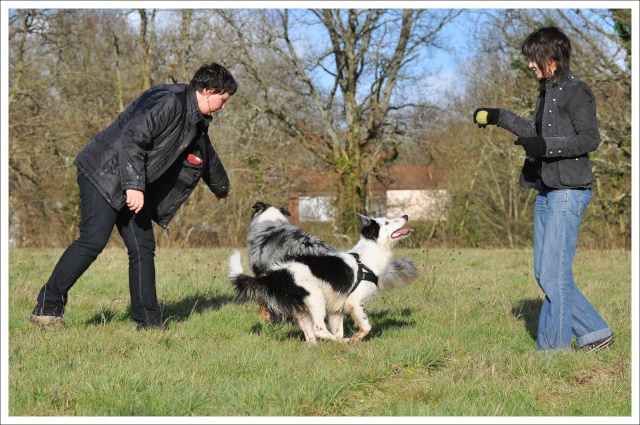 duo "cyrrus et dak" au parc 516