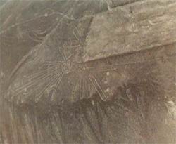 Le plateau de Nazca Nazca-35