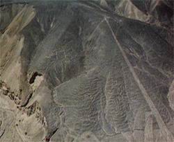 Le plateau de Nazca Nazca-36