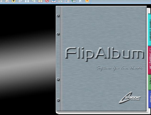 FlipAlbum    311
