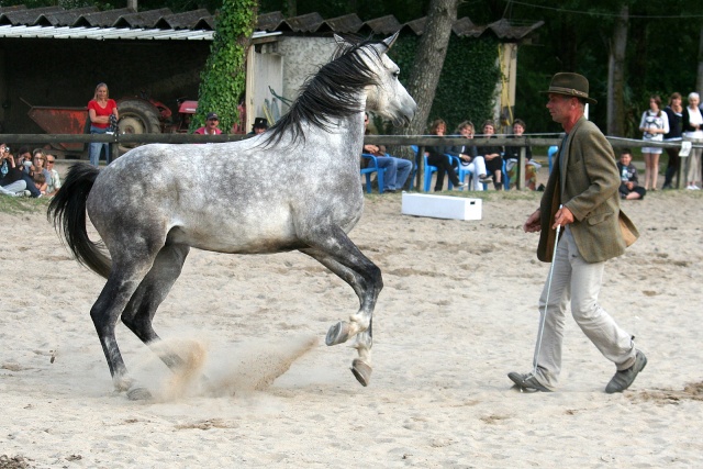 [13/17 Janvier] Cheval Passion Avignon 2010 Img_3215