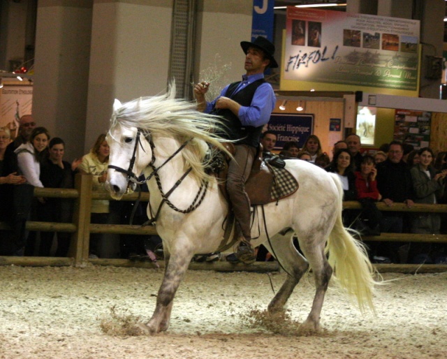 Salon du cheval 2007 Salon_16