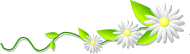 قاموس MultiTrans Ver4.5.1 من اربعة عشر لغة 2310