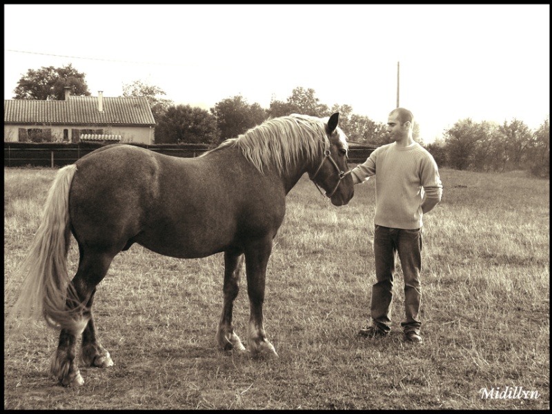 Cavalière à califourchon de Midi-Pyrénées... Xavier10