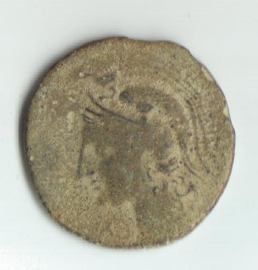 Calco hispanocartaginés (r: caballo parado) Cara_a10