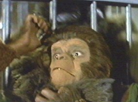 La Planète des singes (film, 1968) Milo10