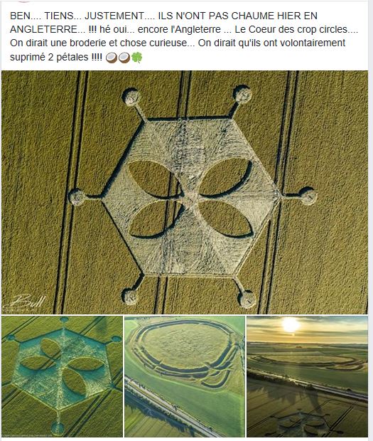 LES CROP CIRCLES............... QUELLE AVENTURE !!! - Page 10 Crop_11