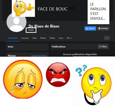 QUAND LE DIABLE S'APPELLE FACEBOOK ou YOUTUBE... Papill10