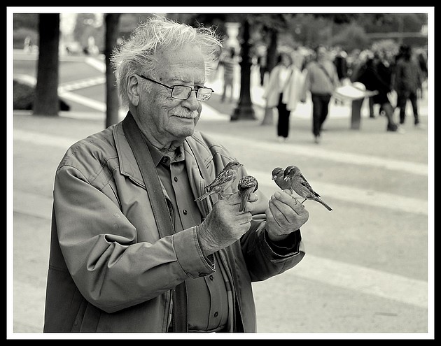 Le vieil homme et l'oiseau Dsc_1010