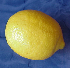 sbitare lhouma9 Citron10