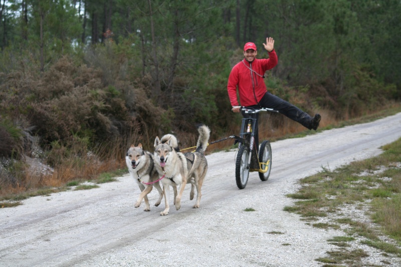 Rencontre Chiens Nordiques 2012 en GIRONDE Depart10