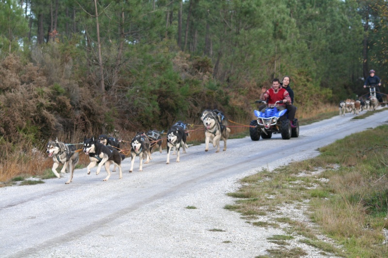 Rencontre Chiens Nordiques 2012 en GIRONDE Depart11