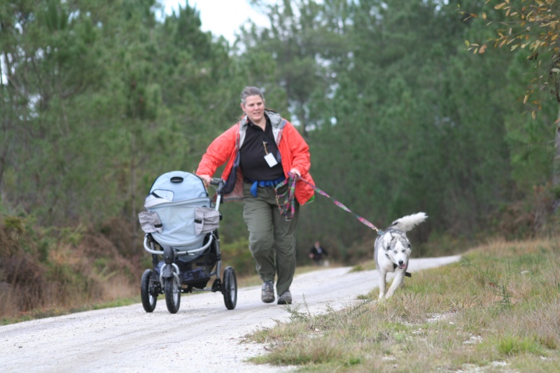 Rencontre Chiens Nordiques 2012 en GIRONDE Depart13