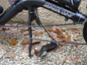 Rupture de trois fourches carbone à disque Velokraft Fourch12