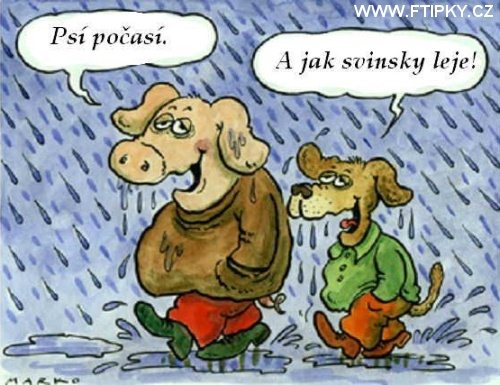 Funny obrzky... - Strnka 2 Pes_a_11