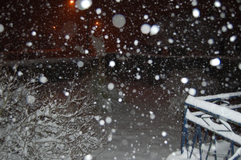 KAWA en TERRASSE : ça neige, ça neige Dsc_0111