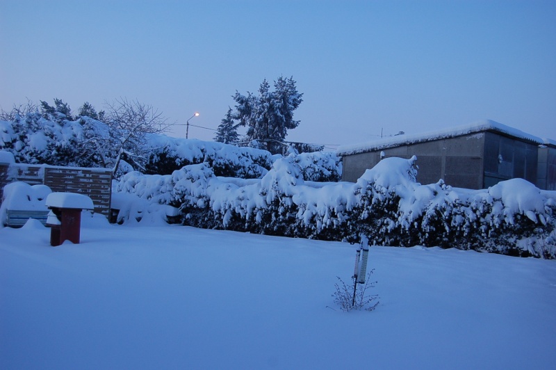 KAWA en TERRASSE : ça neige, ça neige Dsc_0120