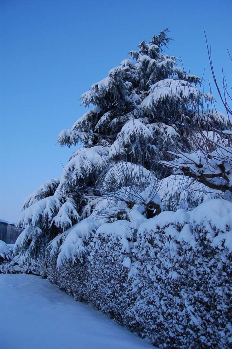 KAWA en TERRASSE : ça neige, ça neige Dsc_0121
