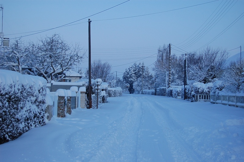 KAWA en TERRASSE : ça neige, ça neige Dsc_0123
