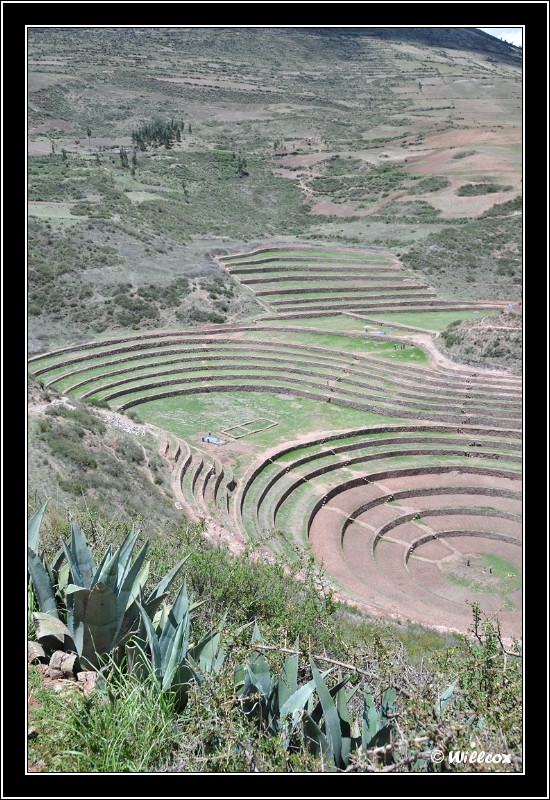 Carnet de voyage : Pérou 2009 - Page 3 Yd0_6217