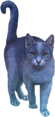 Chatte des villes et chat des champs (extraits) 0bzhqc10