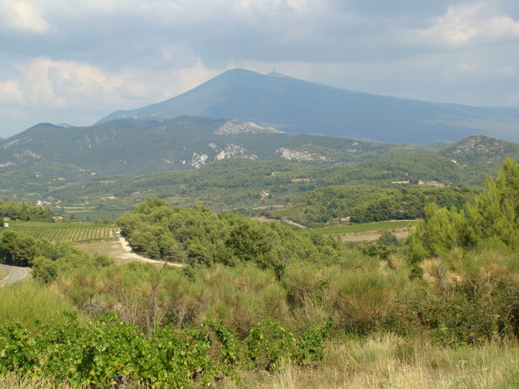 ascension du ventoux  vlo Ventou13