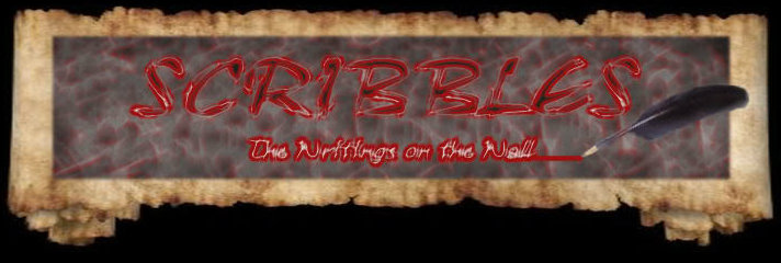 Scribbles - Portal Scribb11