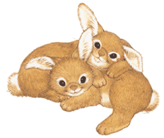 Un lapin qui manque de couleur... ( pour les enfants) 20310