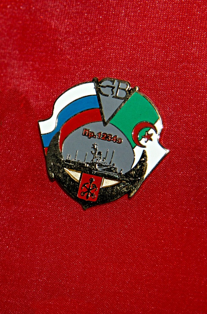 اوسمة و ميداليات الجيش الجزائري  Xsdxbj10