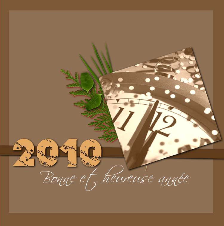 Meilleurs vœux 2010 Carte-10