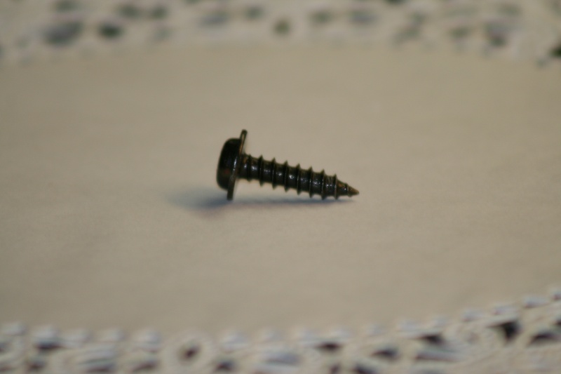 Need source for trim screws Van_pa14