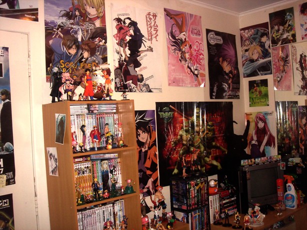 Your Anime/Manga Collections? - Page 3 Col110