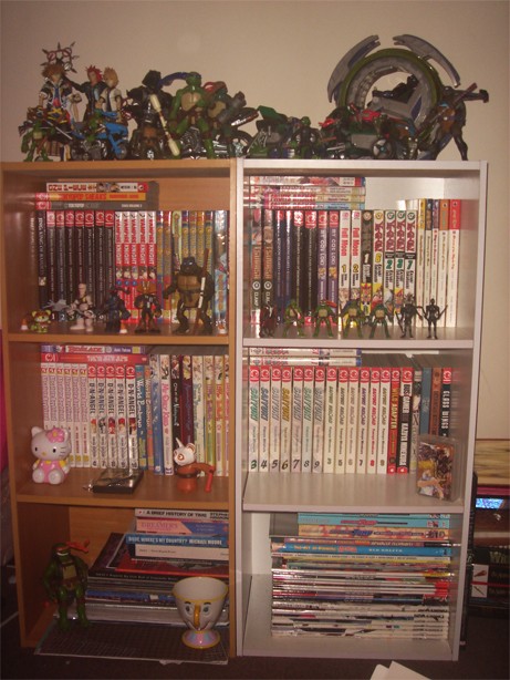Your Anime/Manga Collections? - Page 3 Dsc04710