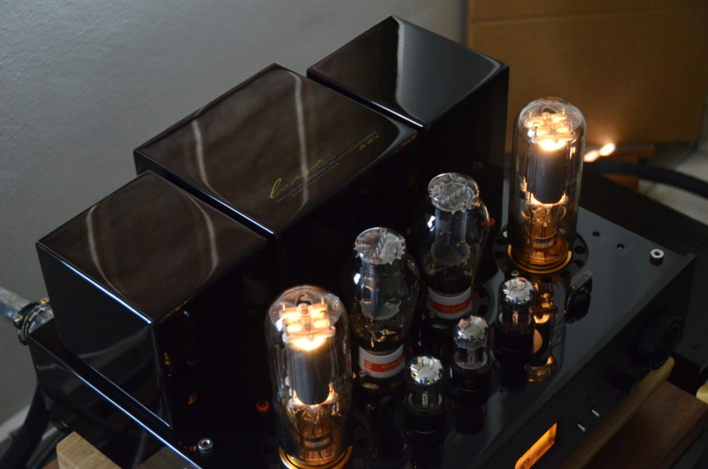Line Magnetic LM-508IA Integrated Amplifier (Used) Dsc_3914
