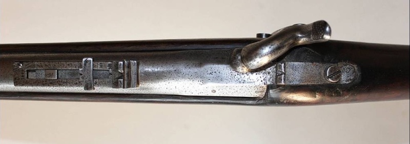 Un curieux fusil 1842 T Car. 883_0011