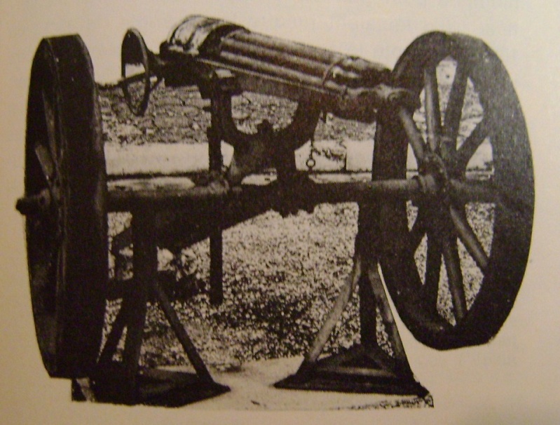 La Gatling dans l'armée française. Dsc07412