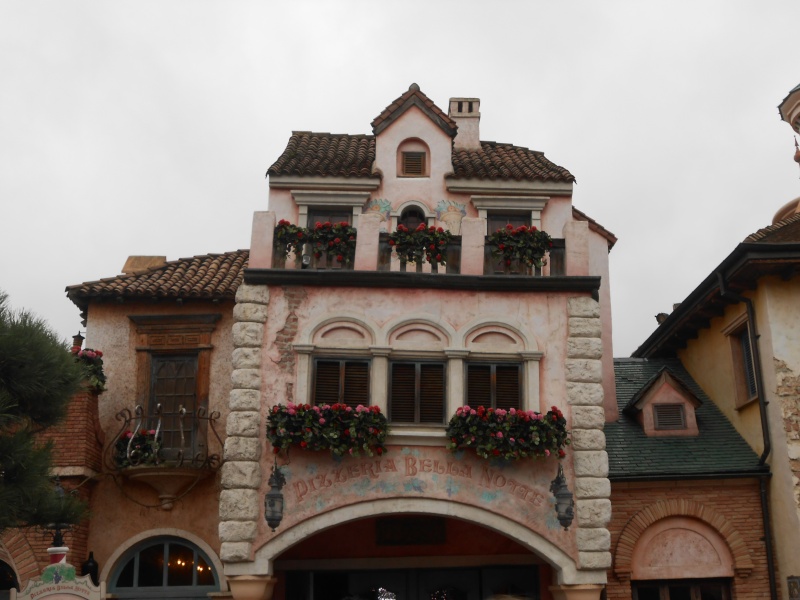 TR [Terminé - Episode 11 - The Final, posté] d'un séjour magique à Disneyland Paris - Sequoia Lodge - du 30/12/12 au 2/01/13  - Page 6 Dscn0845