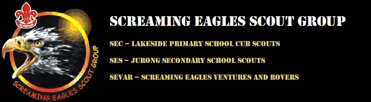 Screaming Eagles Scout Group