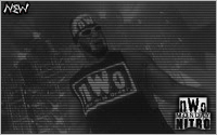 nWo Monday Nitro - 14 Janvier 2013 (Résultats) Hogan410