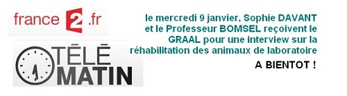 Le GRAAL, une retraite pour les animaux de laboratoire : adoptions, besoin urgent de familles d'accueil 211