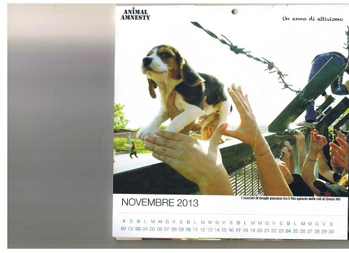 19/1/13 - L'Europe a rendez-vous  en Auvergne : Manif pour la fermeture de l'élevage de chiens de laboratoire à Gannat  A10