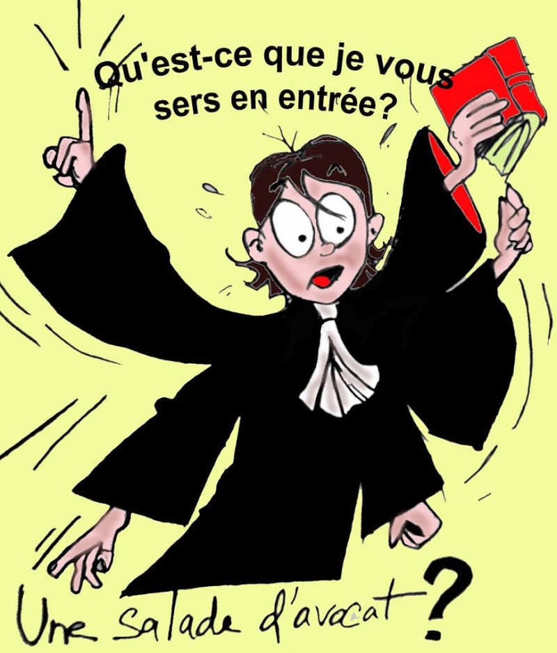 JUDAS  et...............rien que du JUDAS !!!!!! - Page 3 Avocat11