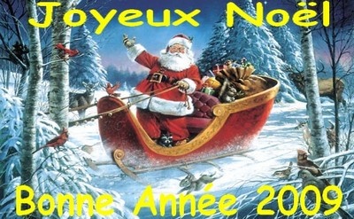 CLASSEMENT GENERAL TOURNOI 2009/2010 - Page 3 Noel_b10