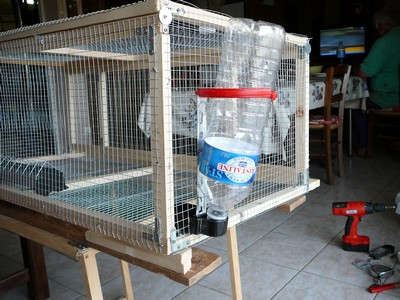 Exemple de cage pour cailles fabrication maison - Habitats - Nimo