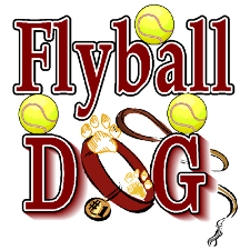 LE FLYBALL AU S.C.C.E - Page 4 13177110