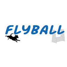LE FLYBALL AU S.C.C.E - Page 4 13878510